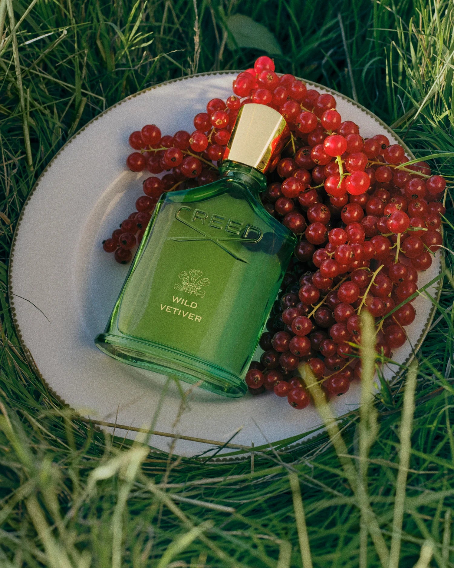Creed Wild Vetiver Eau de Parfum - Decants (Unisex)