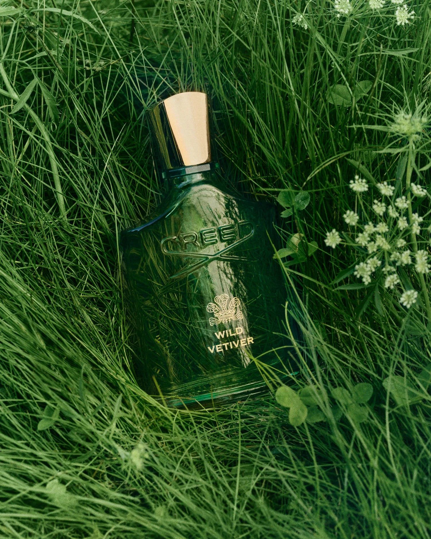 Creed Wild Vetiver Eau de Parfum - Decants (Unisex)